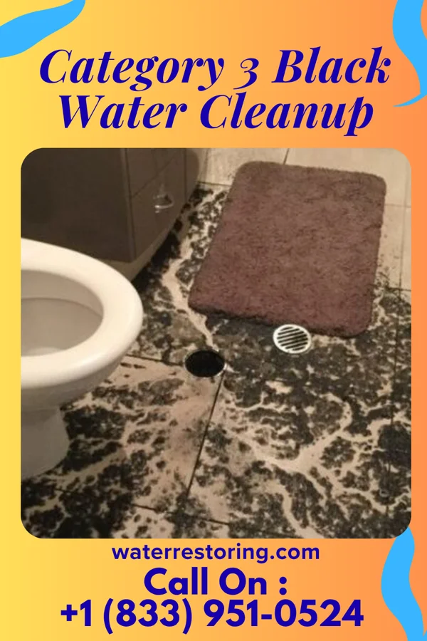 Category 3 Black Water Cleanup in Ocosta, WA