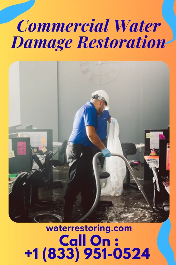 Commercial Water Damage Restoration in Ocosta, WA